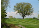 2024 Golf Tournament Registration